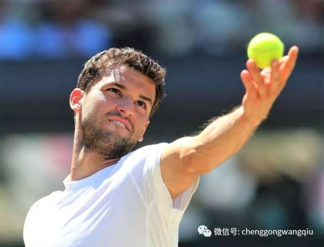 协会的官方 协会的官方