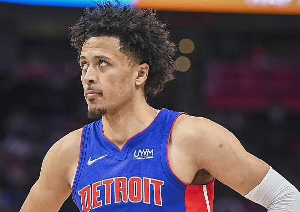 组的针对性 组的针对性